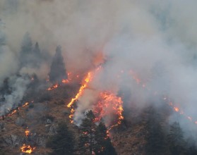 Rising Threat of Forest Fires in Nepal: Experts Call for Integrated Efforts