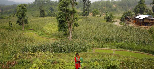 Rural-woman-farmer_-1727097306.jpg